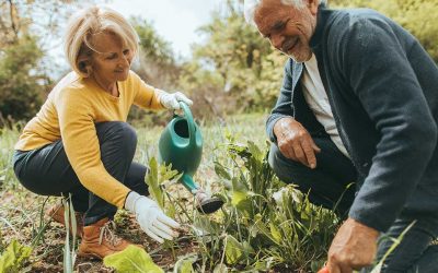 5 Top Tips to Prevent Lower Back Pain When Gardening